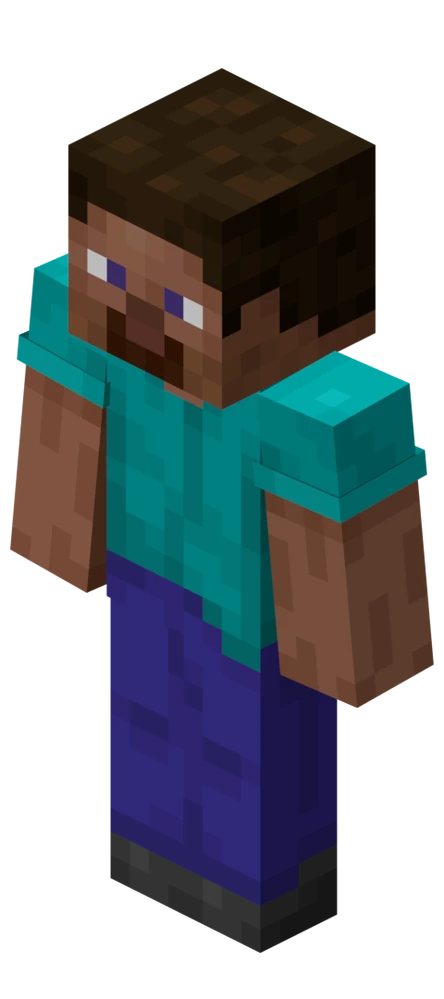Minecraft person